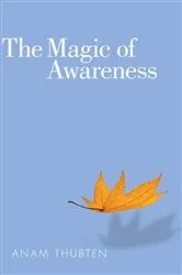 Book cover of The Magic of Awareness by Anam Thubten