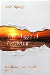 Book cover of The Magic of Noticing by Andy Spragg