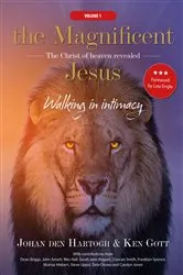 Book cover of The Magnificent Jesus by Johan den Hartogh
