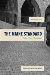 Book cover of The Maine Standard Vol. 1 by Unknown