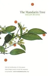 Book cover of The Mandarin Tree by Helen Budge
