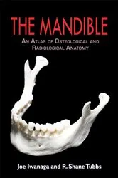 Book cover of The Mandible by Joe Iwanaga