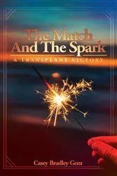 Book cover of The Match And The Spark by Gent, Casey, Bradley