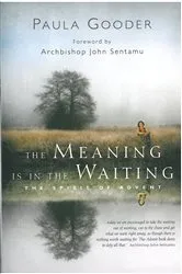 Book cover of The Meaning is in the Waiting by Paula Gooder
