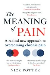 Book cover of The Meaning of Pain by Nick Potter