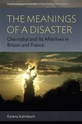 Book cover of The Meanings of a Disaster by Karena Kalmbach