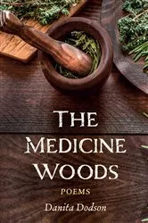 Book cover of The Medicine Woods by Danita Dodson