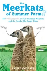 Book cover of The Meerkats Of Summer Farm by Jayne Collier