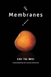 Book cover of The Membranes by Ari Larissa Heinrich