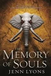 Book cover of The Memory of Souls by Jenn Lyons