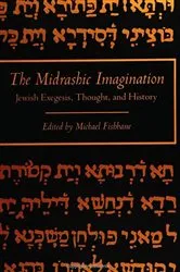 Book cover of The Midrashic Imagination by Michael Fishbane