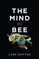 Book cover of The Mind of a Bee by Lars Chittka