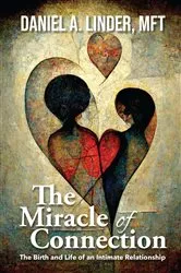 Book cover of The Miracle of Connection by Daniel Linder