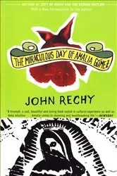 Book cover of The Miraculous Day of Amalia Gómez by John Rechy
