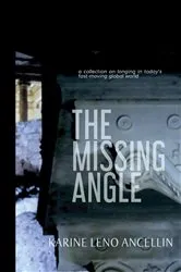 Book cover of The Missing Angle by Karine Leno Ancellin