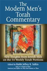 Book cover of The Modern Men's Torah Commentary by Unknown
