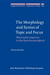 Book cover of The Morphology and Syntax of Topic and Focus by Liliana Sánchez
