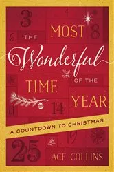 Book cover of The Most Wonderful Time of the Year by Jodi Taylor
