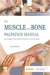 Book cover of The Muscle and Bone Palpation Manual with Trigger Points, Referral Patterns and Stretching - E-Book (3rd ed.) by Joseph E. Muscolino DC