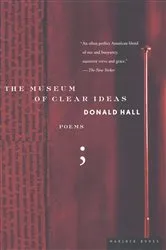 Book cover of The Museum of Clear Ideas by Unknown