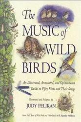 Book cover of The Music of Wild Birds by Judy Pelikan
