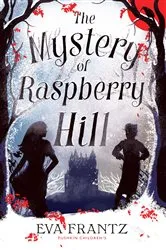 Book cover of The Mystery of Raspberry Hill by EVA FRANTZ