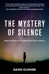 Book cover of The Mystery of Silence by David Olshine