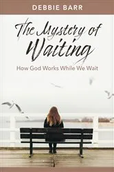 Book cover of The Mystery of Waiting by Debbie Barr