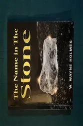 Book cover of The Name in the Stone by W. Wayne Holmes