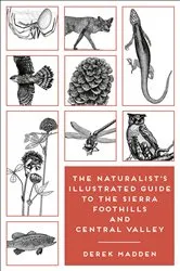 Book cover of The Naturalist's Illustrated Guide to the Sierra Foothills and Central Valley by Derek Madden