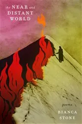 Book cover of The Near and Distant World by Bianca Stone