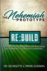 Book cover of The Nehemiah Prototype by Georgette V. Prime-Godwin