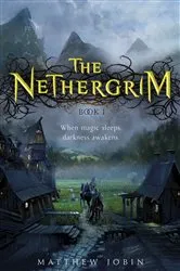 Book cover of The Nethergrim by Matthew Jobin