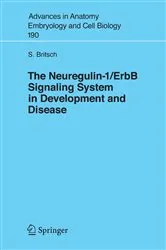 Book cover of The Neuregulin-I/ErbB Signaling System in Development and Disease by Stefan Britsch