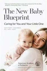 Book cover of The New Baby Blueprint by Whitney Casares