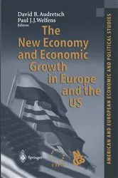 Book cover of The New Economy and Economic Growth in Europe and the US by David B. Audretsch