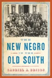 Book cover of The New Negro in the Old South by Gabriel A. Briggs