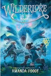Book cover of The Night Compass by Amanda Foody