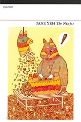 Book cover of The Ninjas by Jane Yeh