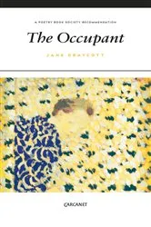 Book cover of The Occupant by Jane Draycott