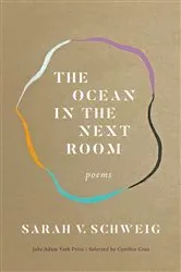 Book cover of The Ocean in the Next Room by Sarah V. Schweig