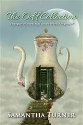 Book cover of The Odd Collection by Samantha M Turner