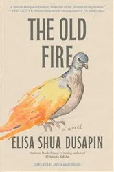 Book cover of The Old Fire by Elisa Shua Dusapin