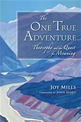 Book cover of The One True Adventure by Unknown