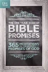 Book cover of The One Year Book of Bible Promises by Unknown
