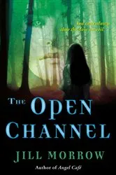 Book cover of The Open Channel by Jill Morrow