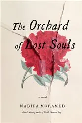 Book cover of The Orchard of Lost Souls by Nadifa Mohamed