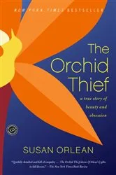 Book cover of The Orchid Thief by Carolyn Keene