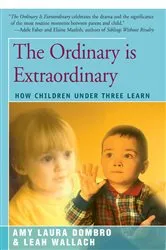 Book cover of The Ordinary is Extraordinary by Amy Laura Dombro