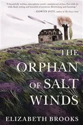 Book cover of The Orphan of Salt Winds by Elizabeth Brooks